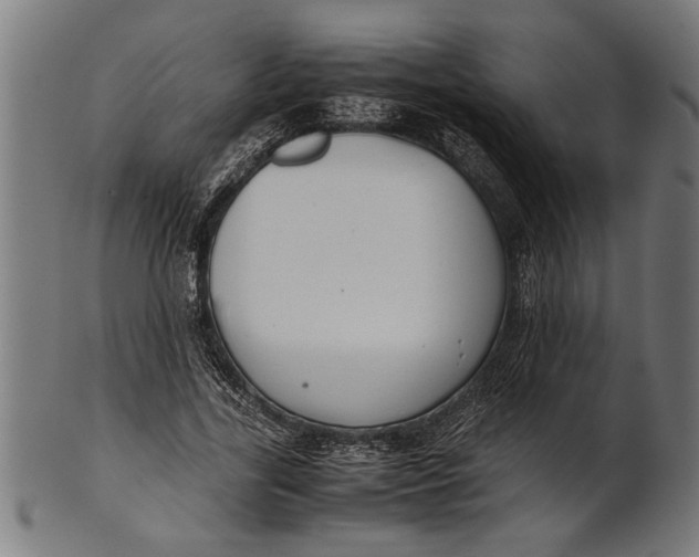 X0000100860731200807111252