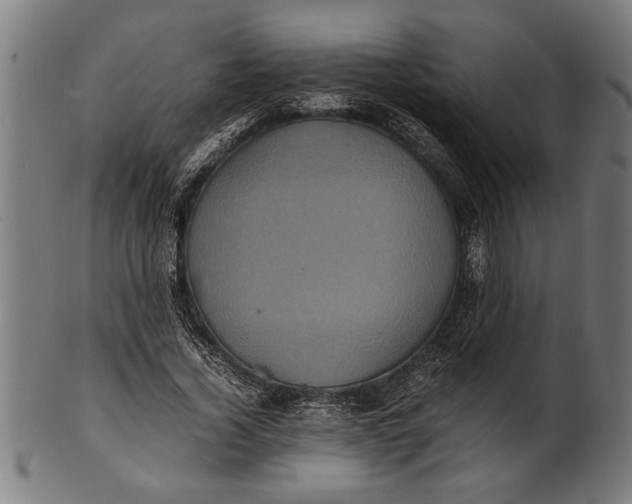 X0000100860732200807111252