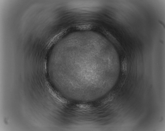 X0000100860733200807111252