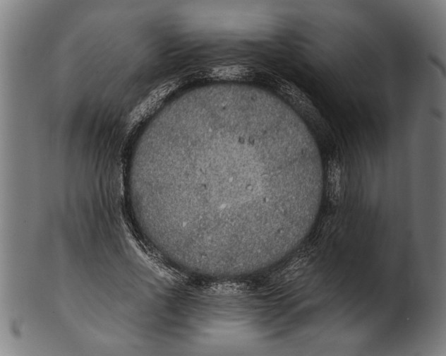 X0000100860734200807111252