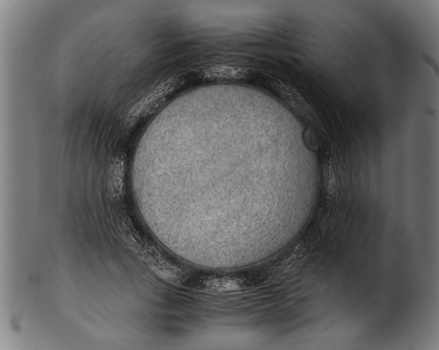 X0000100860735200807111252