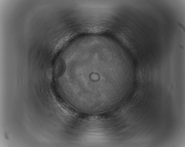 X0000100860736200807111252