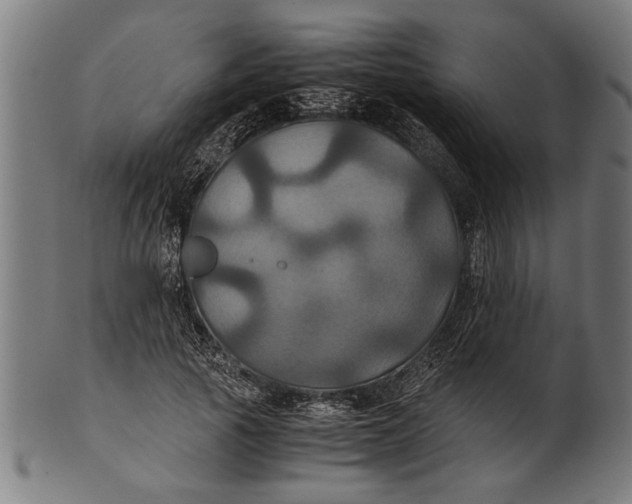 X0000100860737200807111252