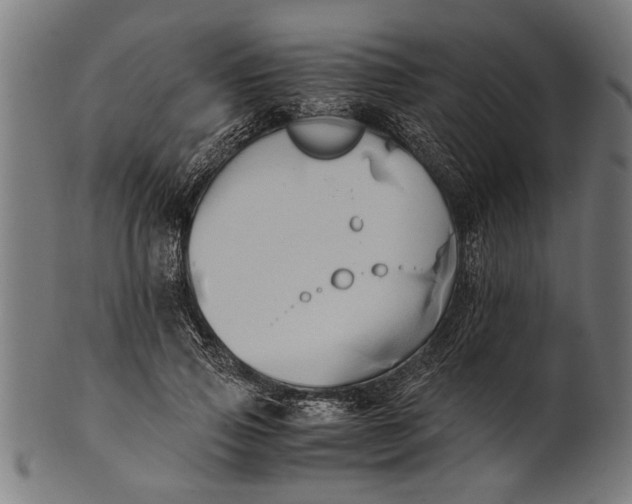 X0000100860741200807111252