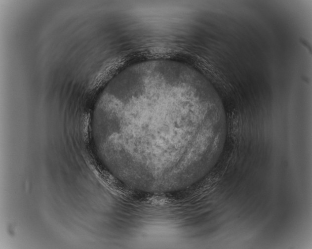 X0000100860742200807111252