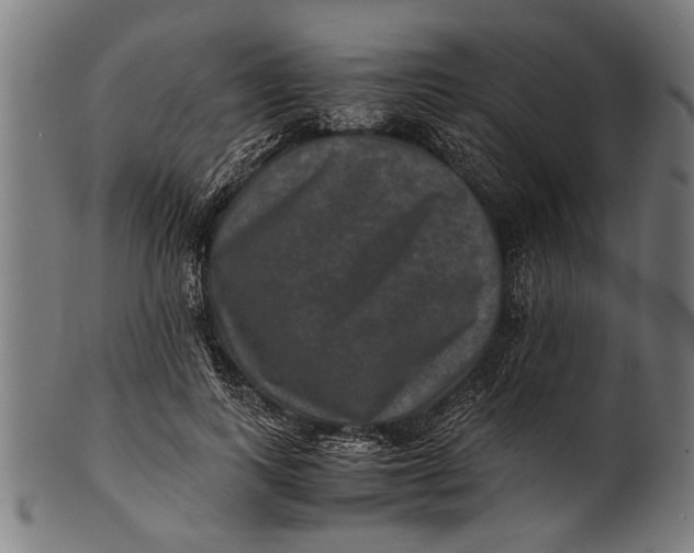 X0000100860743200807111252