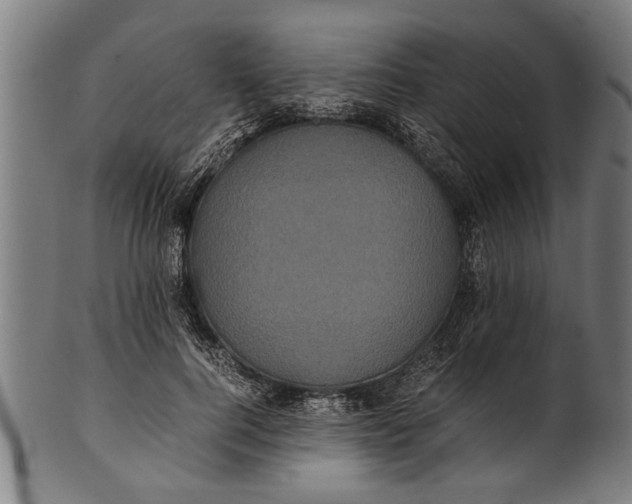 X0000100860744200807111252