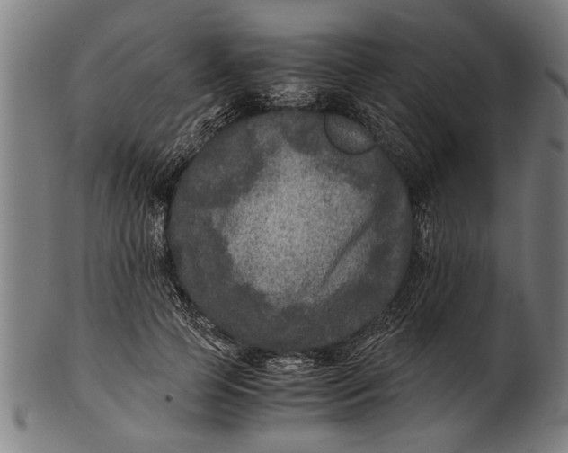 X0000100860745200807111252