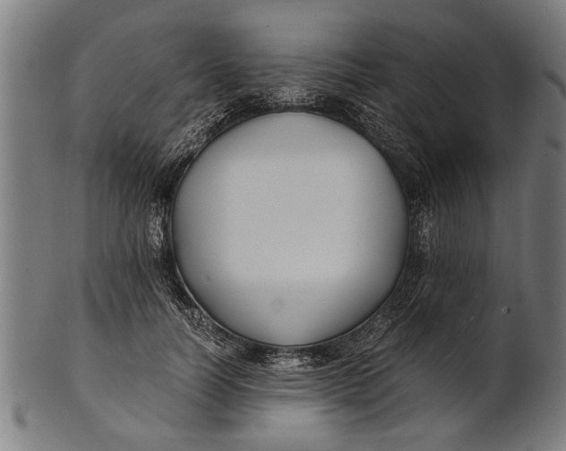 X0000100860746200807111252