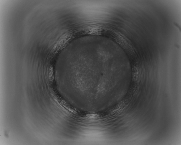 X0000100860748200807111252