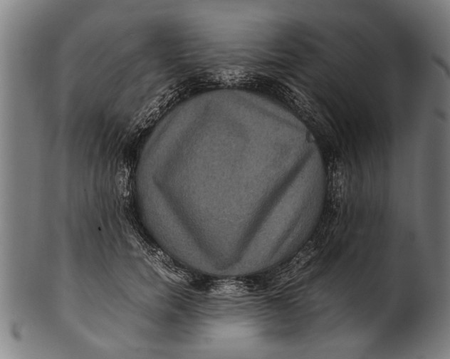 X0000100860750200807111252