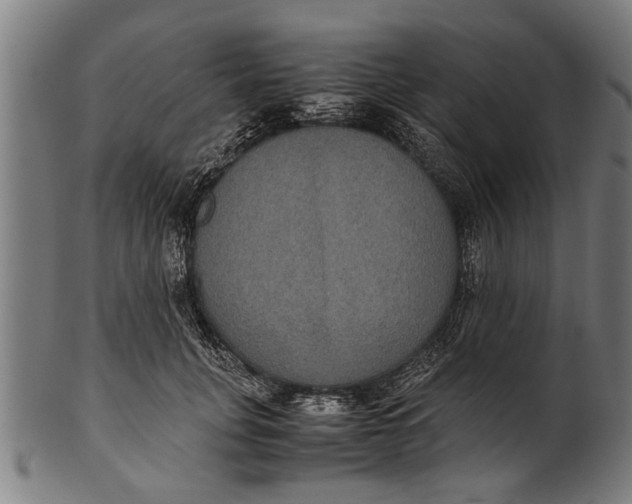 X0000100860751200807111252