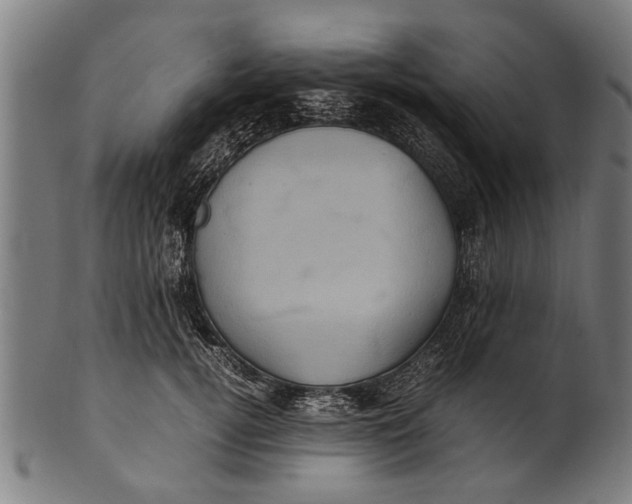 X0000100860752200807111252