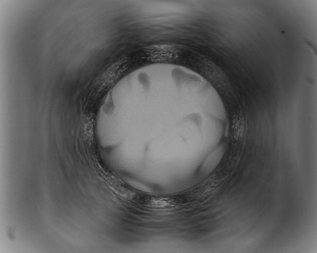 X0000100860753200807111252