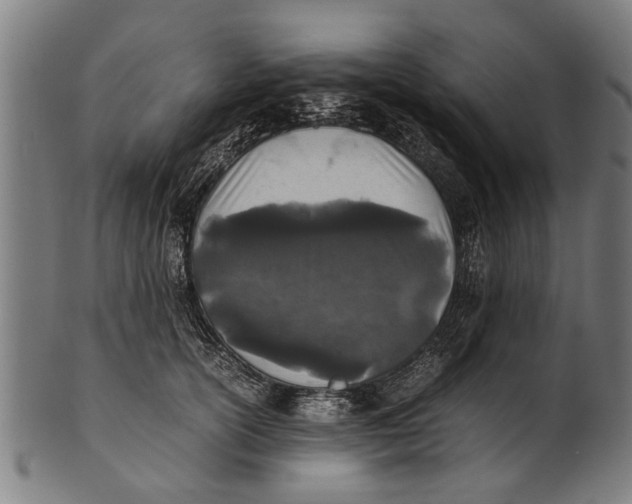 X0000100860754200807111252