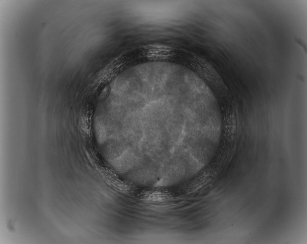 X0000100860755200807111252