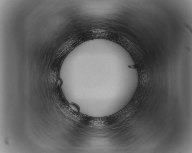 X0000100860756200807111252