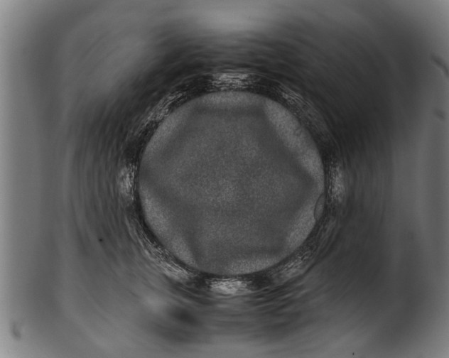 X0000100860759200807111253