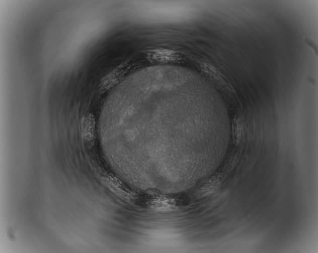 X0000100860760200807111253