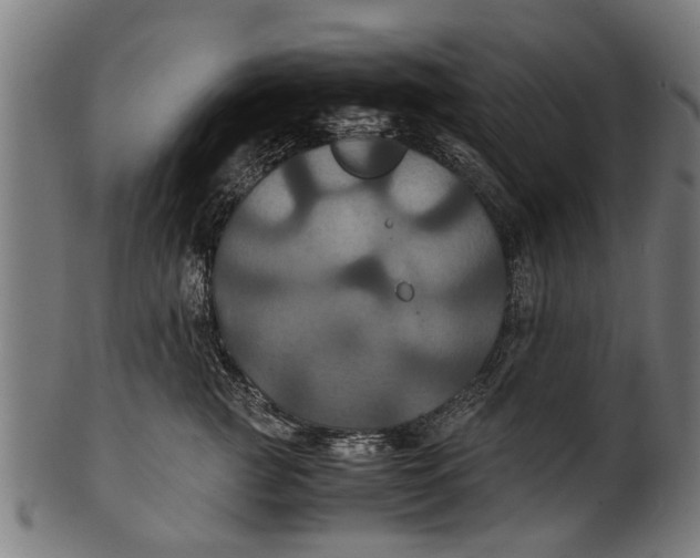 X0000100860761200807111253