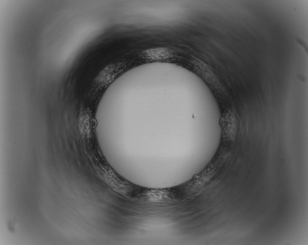 X0000100860762200807111253