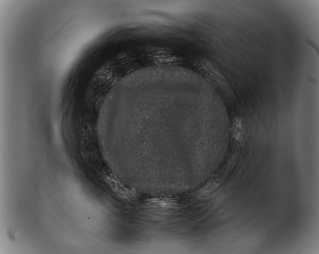 X0000100860763200807111253