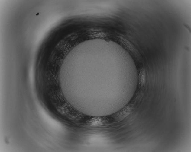 X0000100860764200807111253