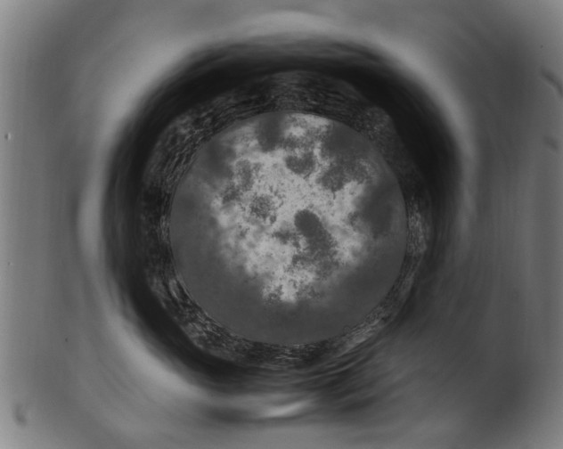 X0000100860765200807111253