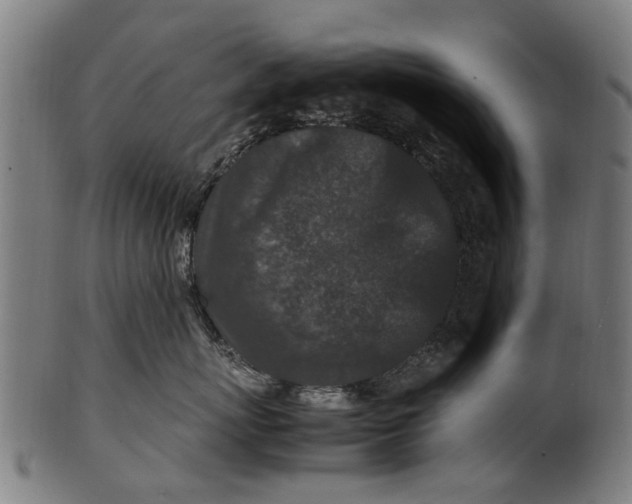 X0000100860767200807111253