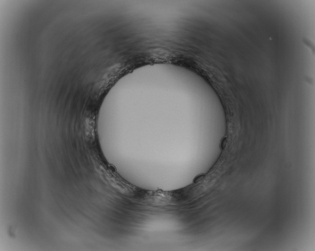 X0000100860768200807111253