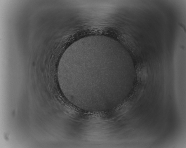 X0000100860769200807111252