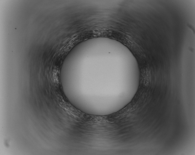 X0000100860770200807111252