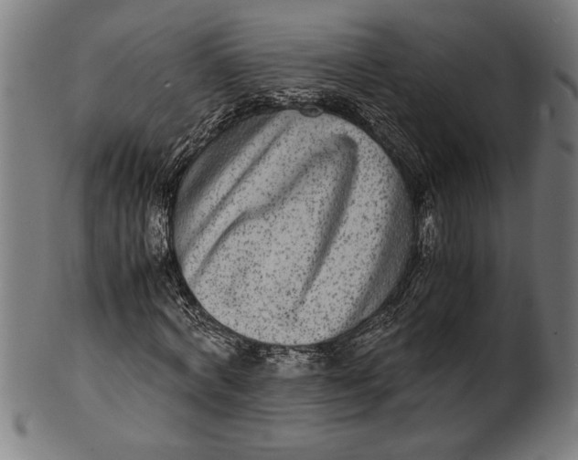 X0000100860772200807111252