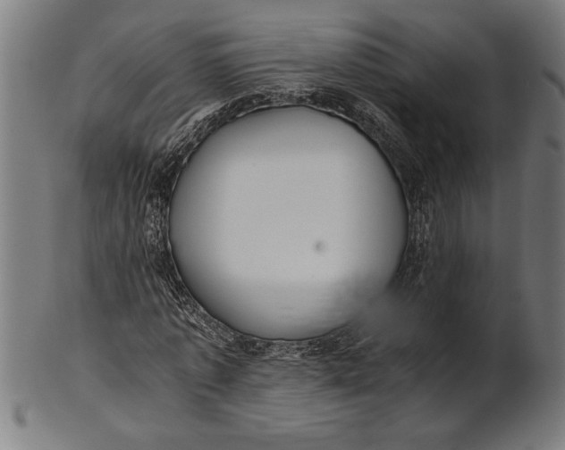 X0000100860773200807111252