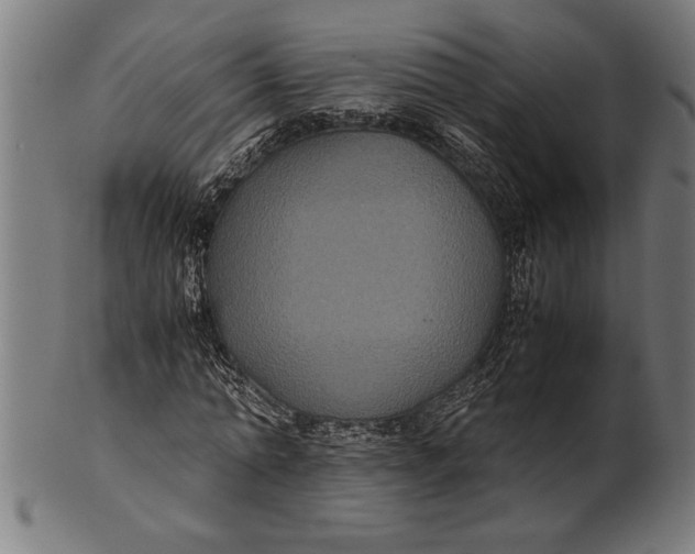 X0000100860774200807111252