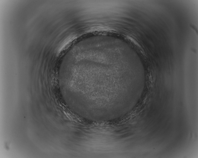 X0000100860775200807111252