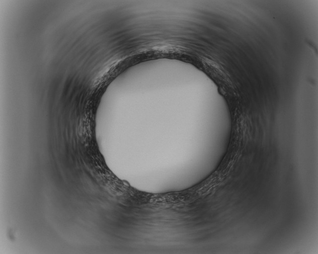 X0000100860776200807111252