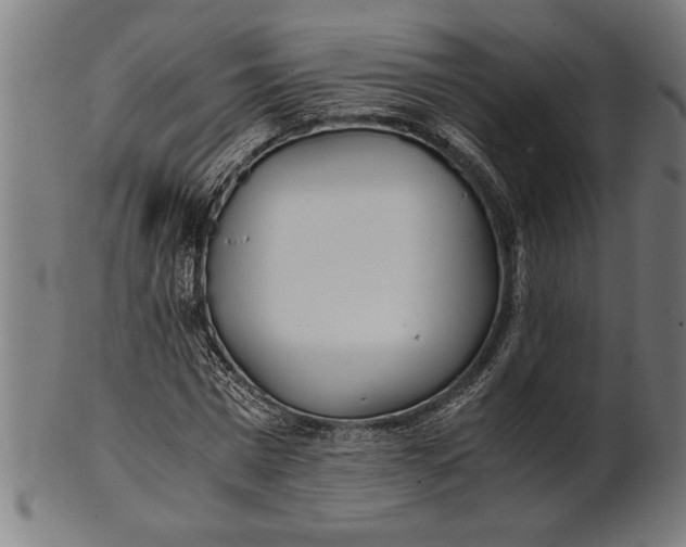 X0000100860777200807111252