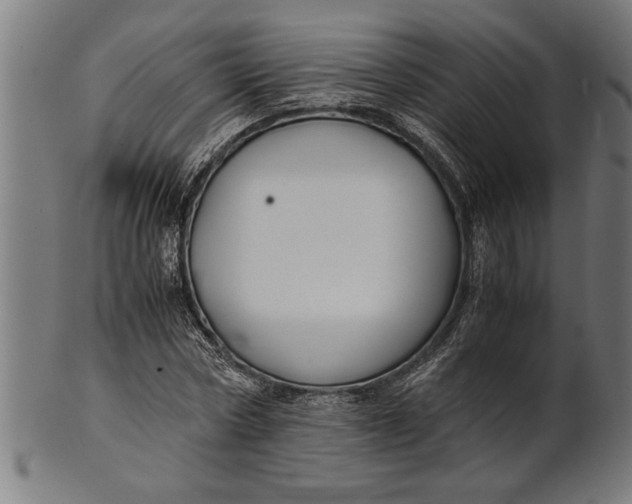 X0000100860778200807111252