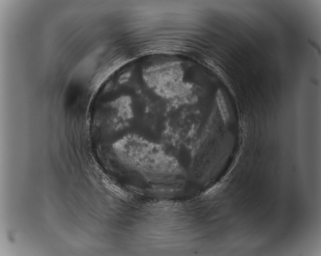 X0000100860779200807111252