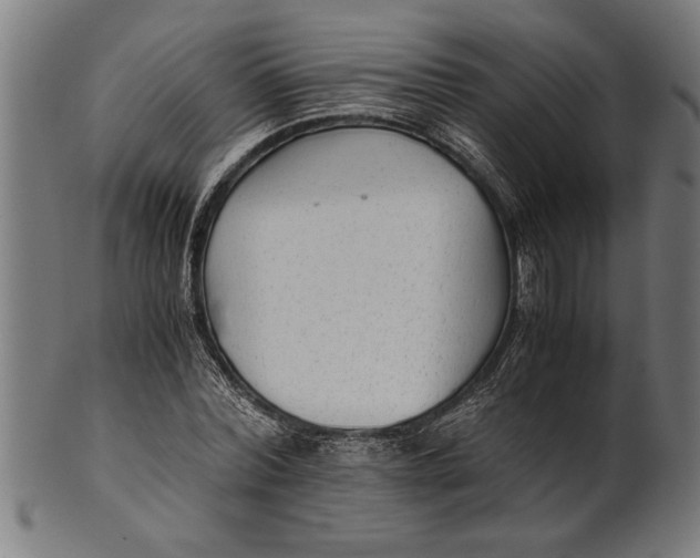 X0000100860780200807111252