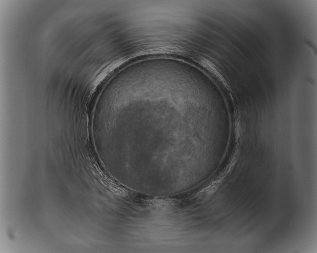 X0000100860781200807111252