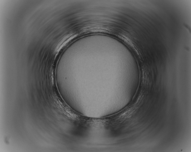 X0000100860782200807111252