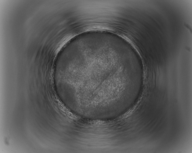 X0000100860783200807111252