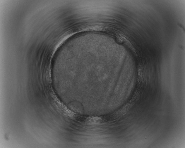 X0000100860784200807111252