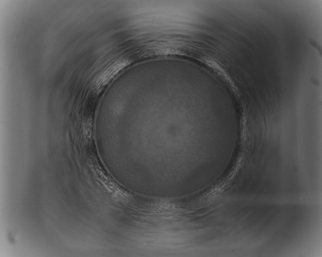 X0000100860785200807111252