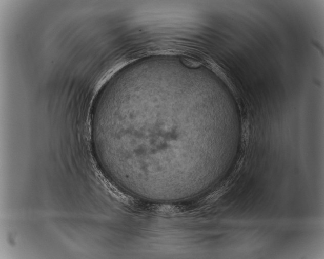 X0000100860787200807111252