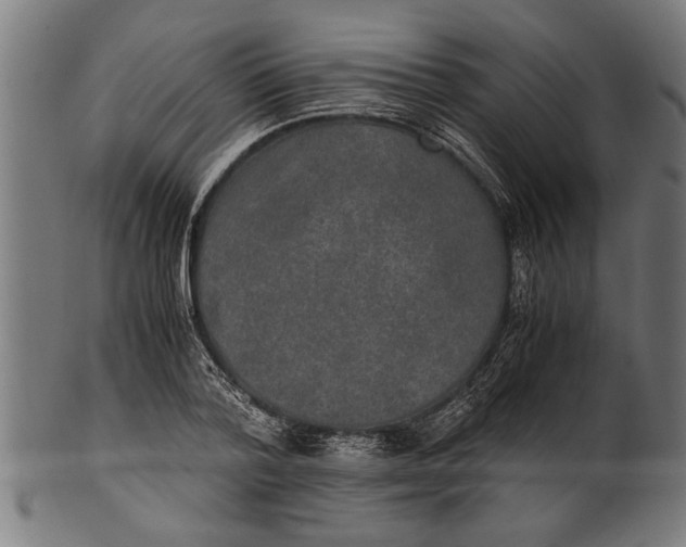 X0000100860788200807111252