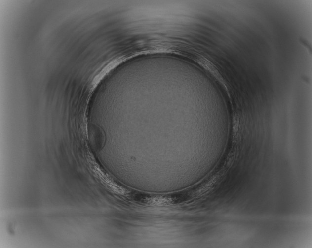 X0000100860789200807111252