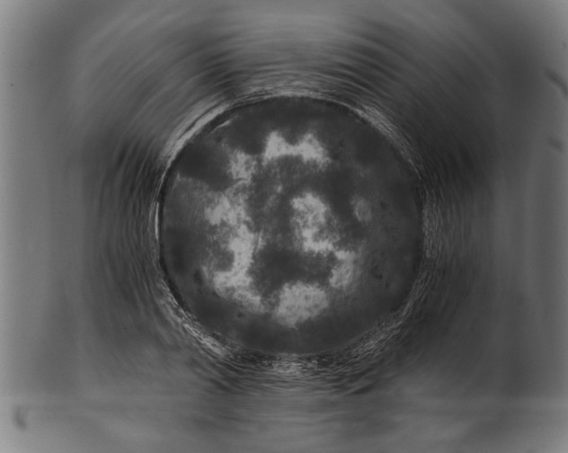 X0000100860790200807111252